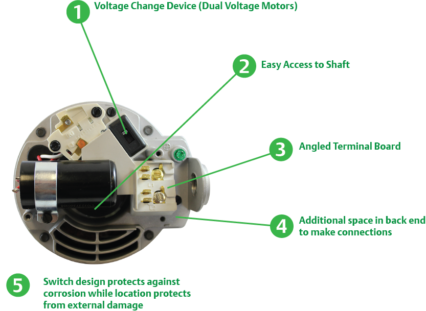 1081 pool motor