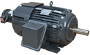 ACCU-Torq® AC severe duty motors 