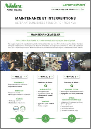 MAINTENANCE ET INTERVENTIONS POUR ALTERNATEURS BASSE TENSION 10 - 1500 KVA