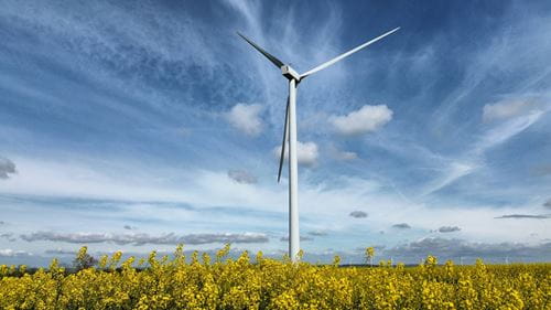 windmill