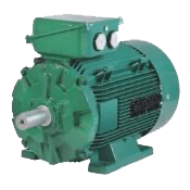 lses miniture pompes