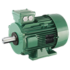 moteur ls lses