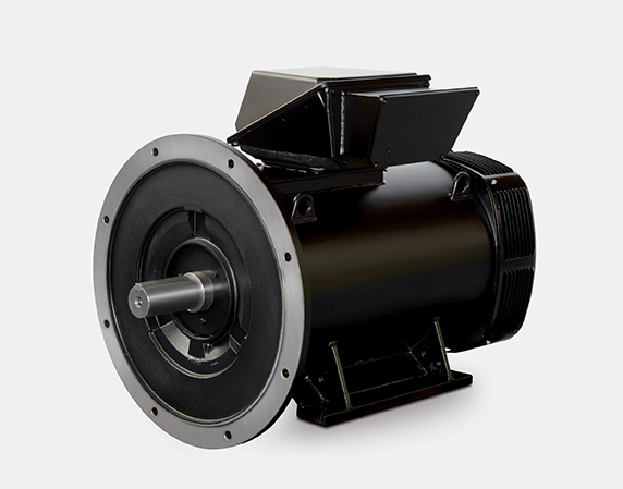 PLSES 4500 Induction motor