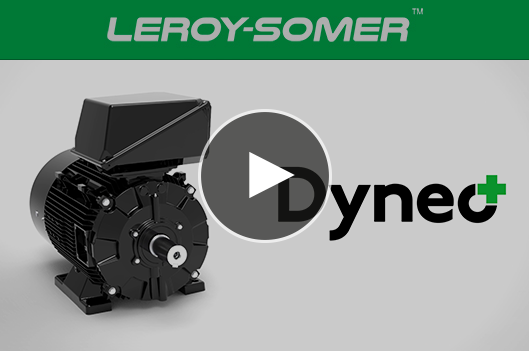 Electric Motor skybay-s061-mr yy Leroy Somer Motors MBT1141M 