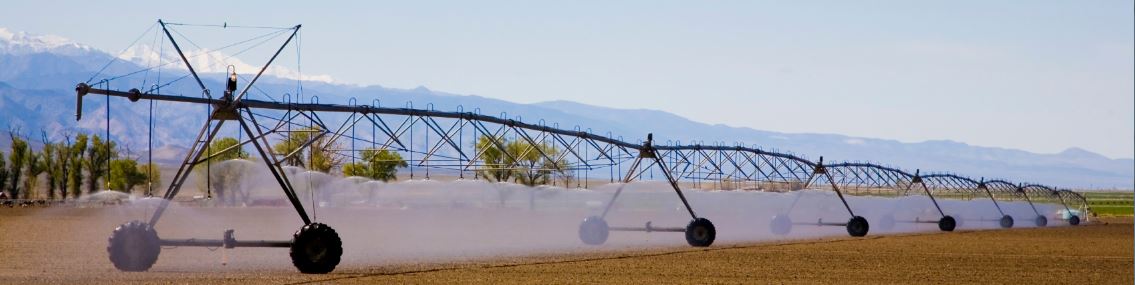 irrigation system in operation across field