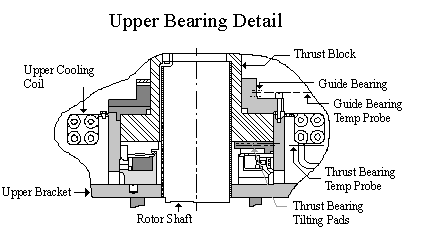 Selecting Bearing Systems in Vertical Motors